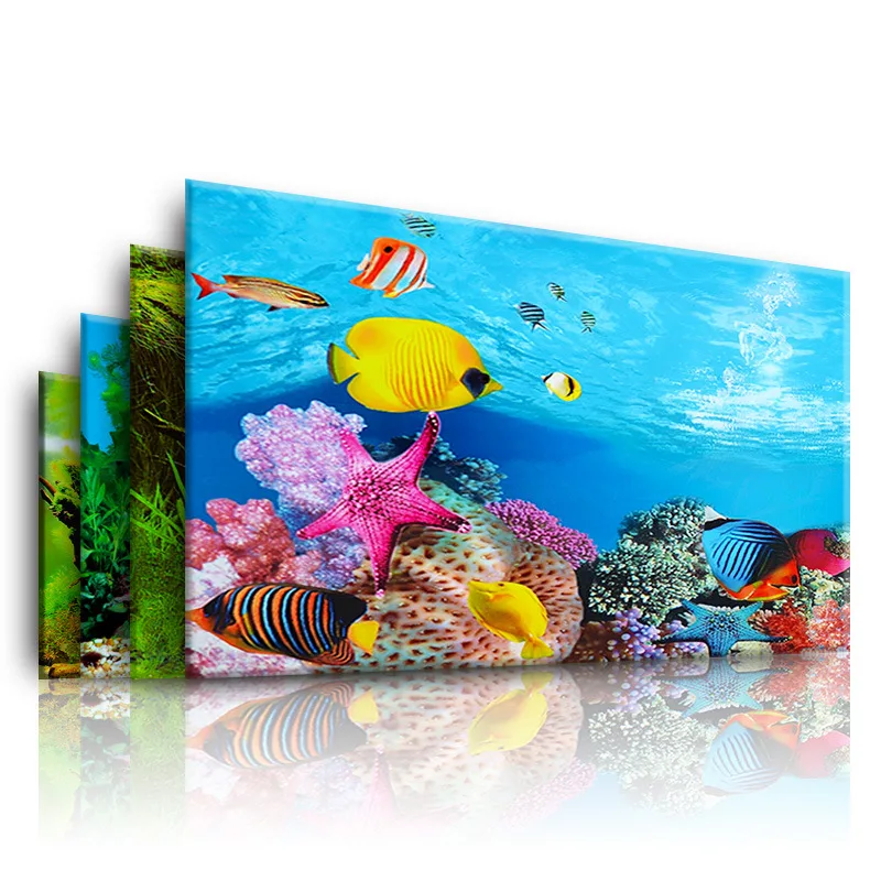 Aquarium Plant Display - Background for Aquarium 3d Sticker Poster