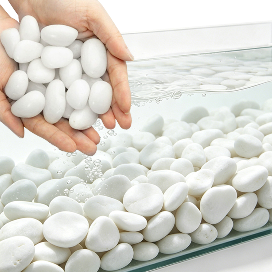 300/500g High Polished White P - Aquarium Sand White 리뷰 및 가격
