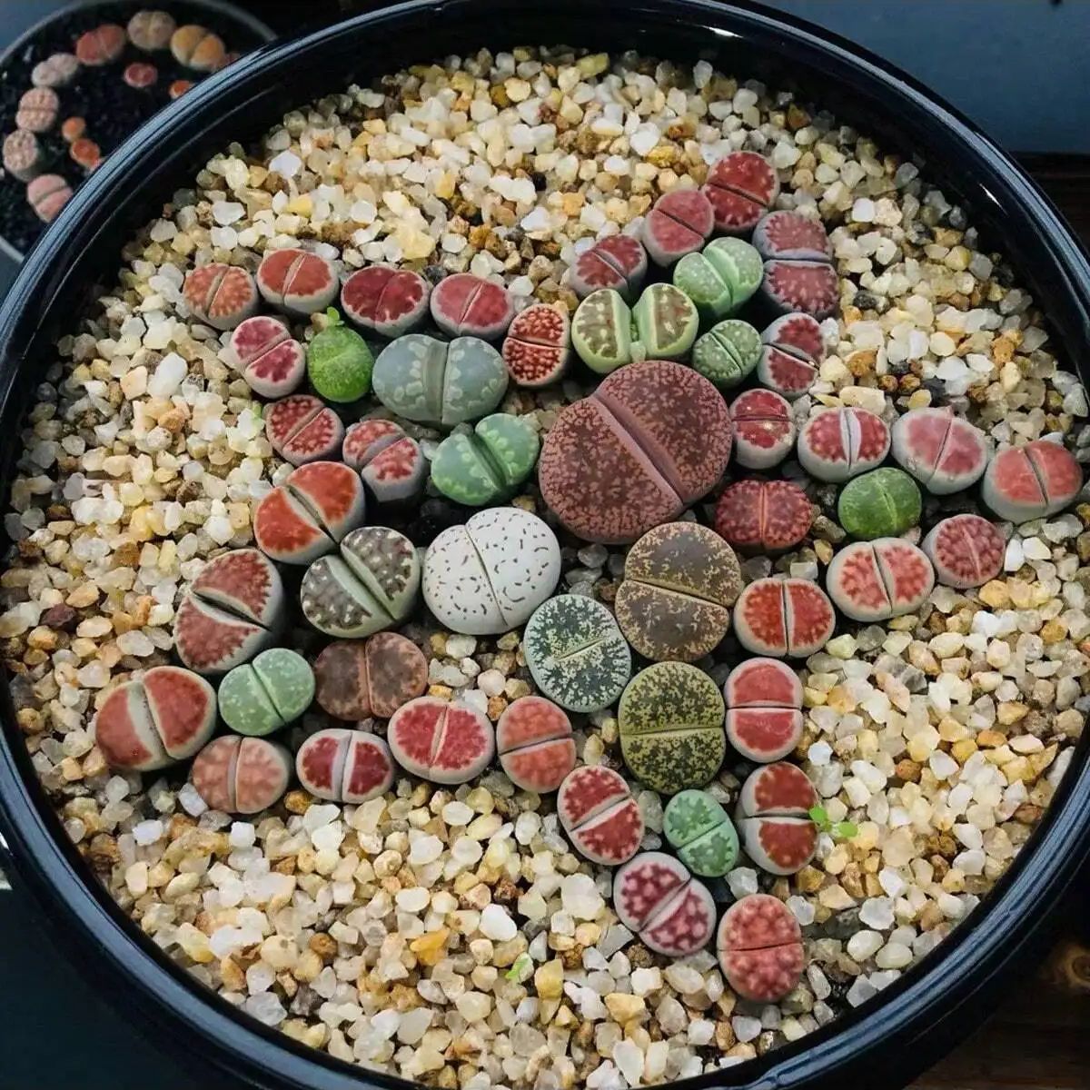 1pc-250g Natural Crystals Grav - Aquarium Plant Gravel 리뷰 및 가격