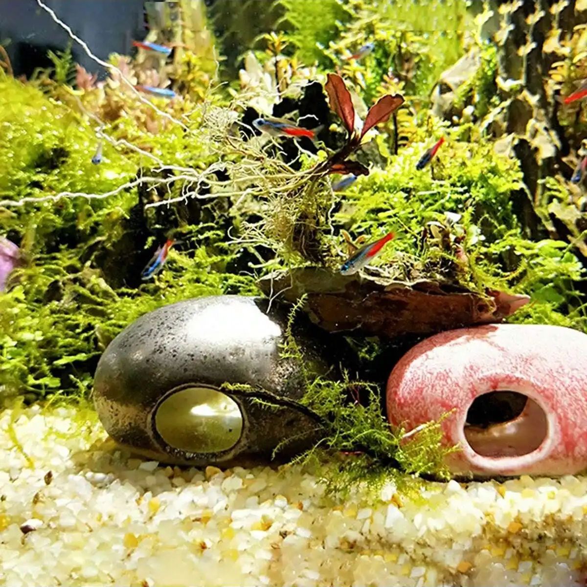 1pc-250g Natural Crystals Grav - Aquarium Plant Gravel 리뷰 및 가격