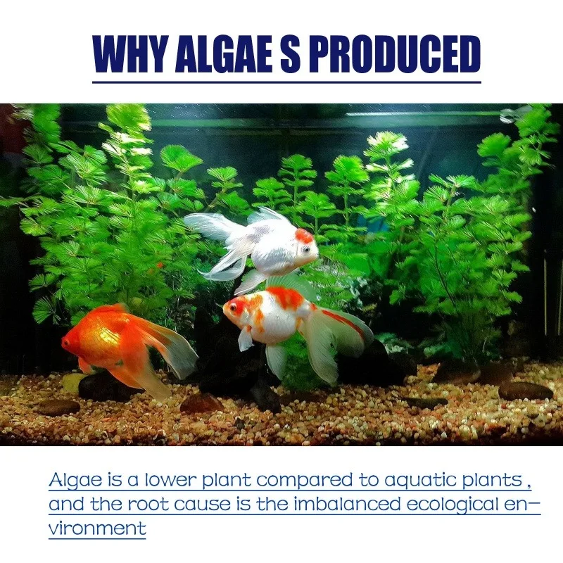 50g High Efficiency Algaecide  - Planted Aquarium Supplies 리뷰 및 가격