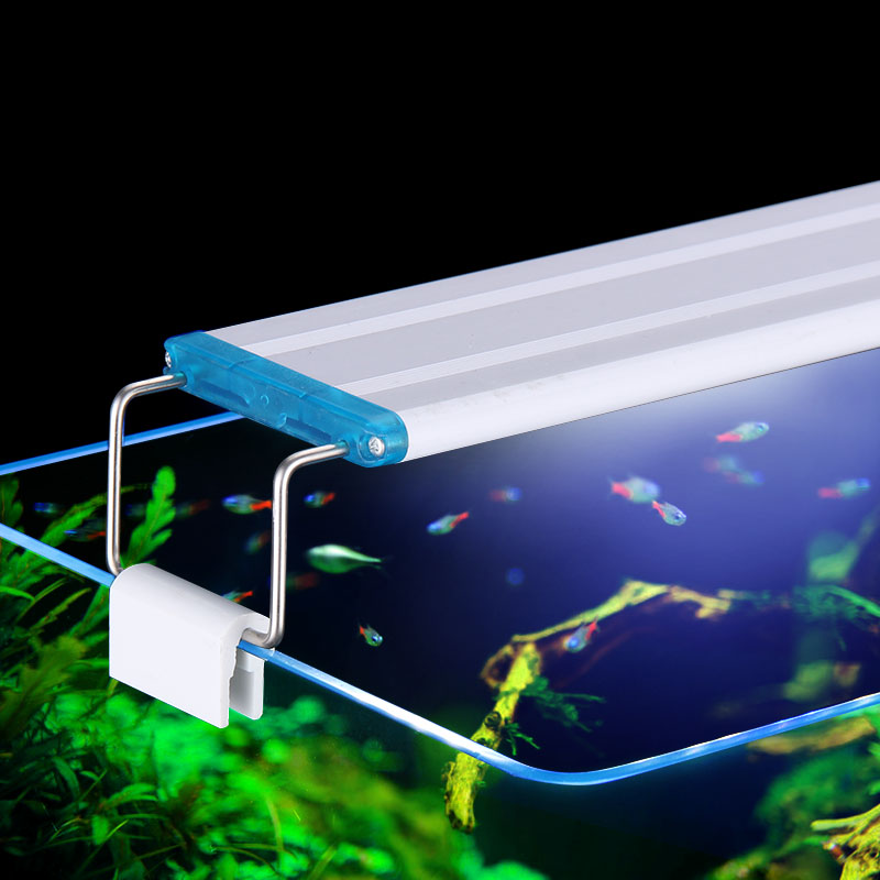 Extensible Waterproof Clip on  - Aquarium Plant Display 리뷰 및 가격