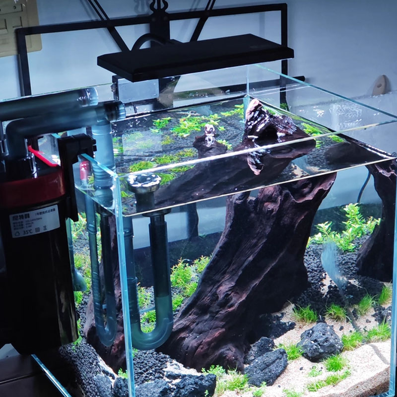 Aquarium Fish Tank Full Spectr - Planted Aquarium Cycling 리뷰 및 가격