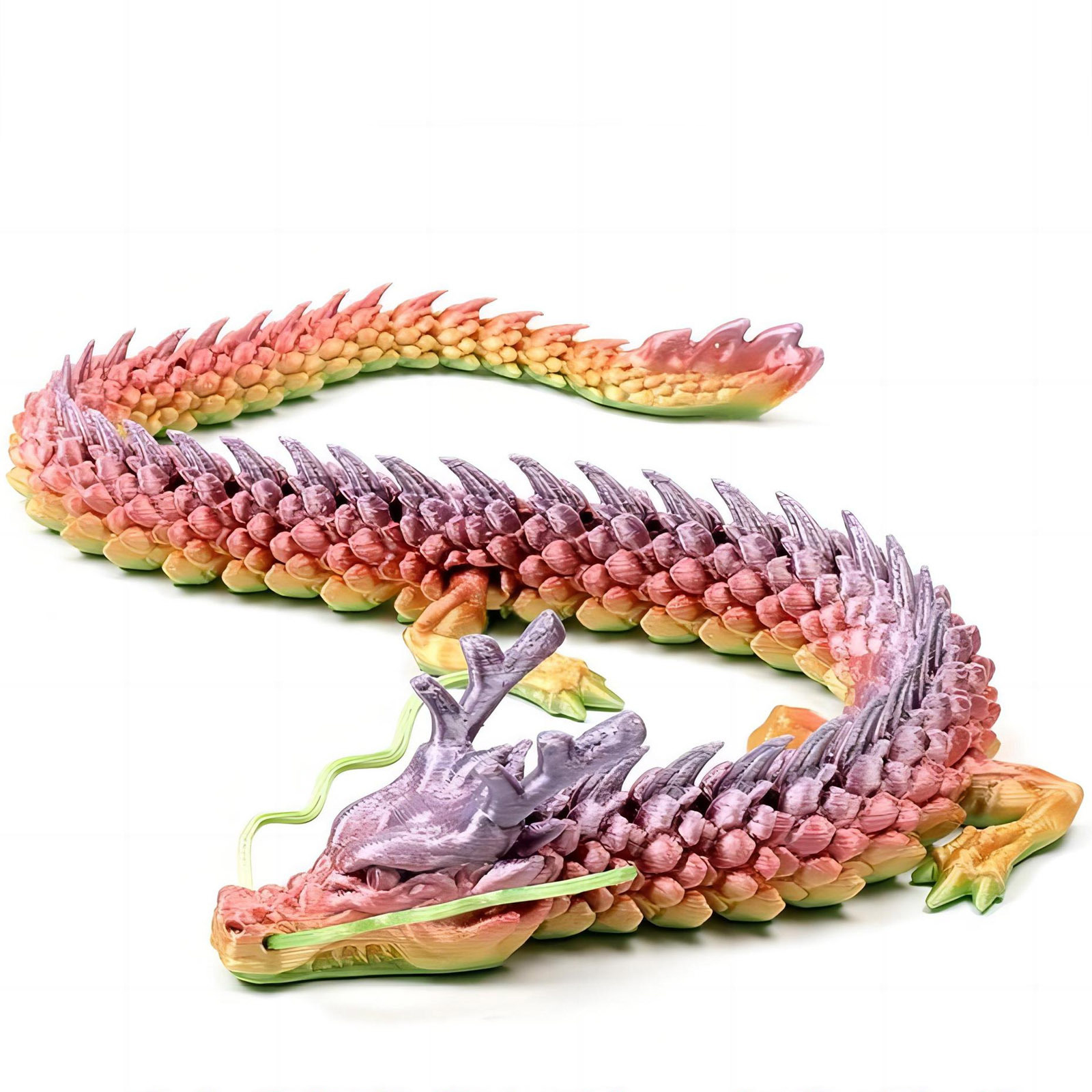 3D Printed Conjoined Dragon Or - Aquarium Plant Display 리뷰 및 가격