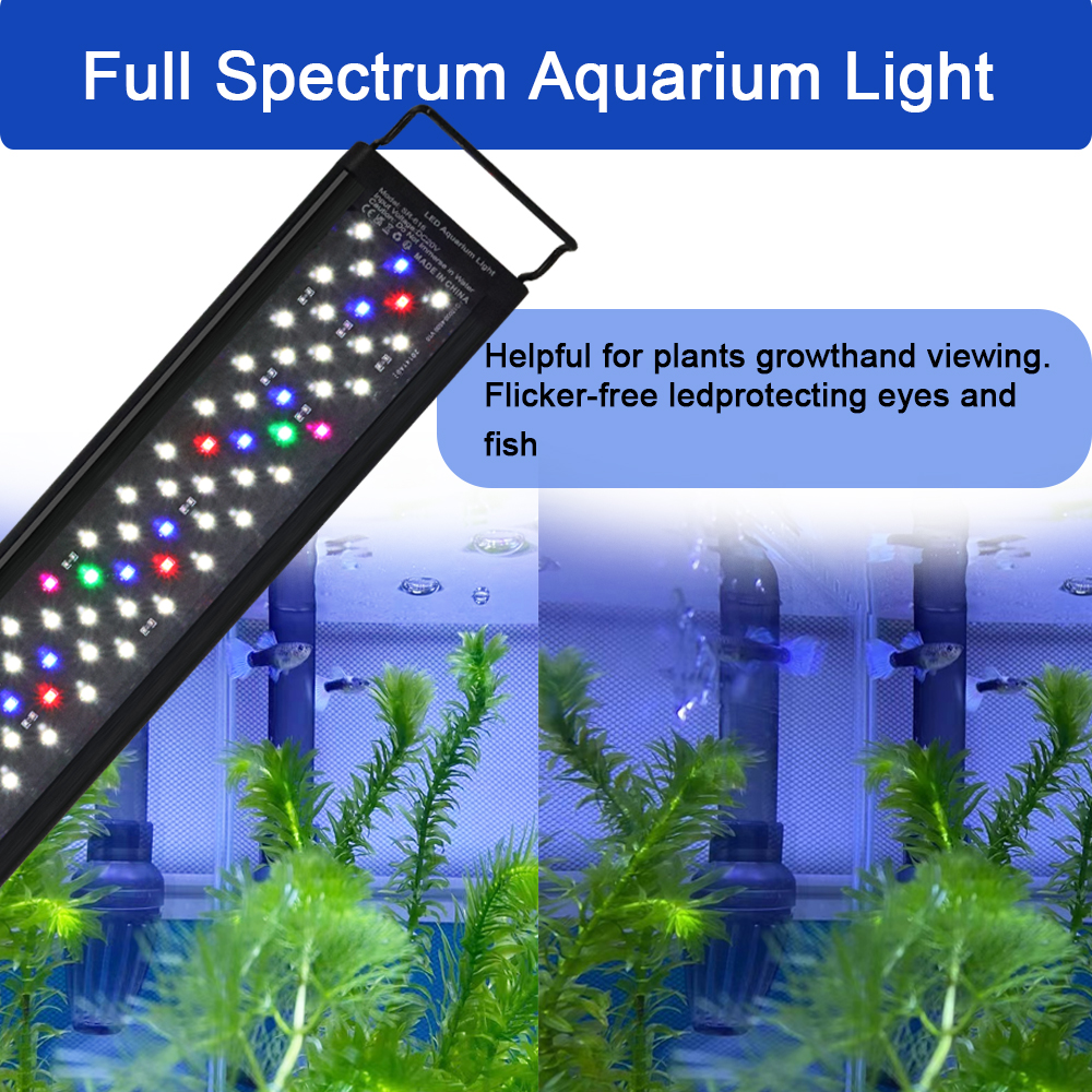 12-30 Inch Fish Tank Full Spec - Aquarium Plant Display 리뷰 및 가격