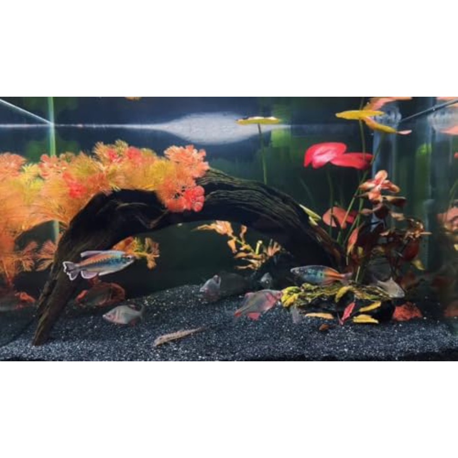 Aquarium Sand, 0 Fish Tank San - Aquarium Plant Gravel 리뷰 및 가격