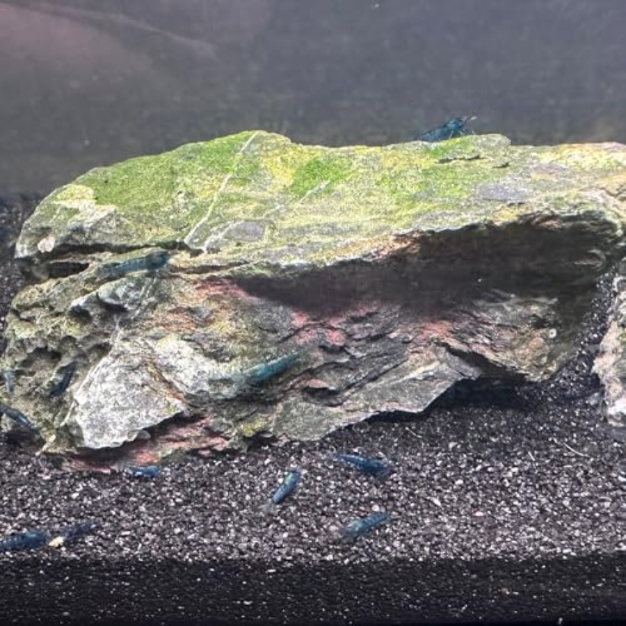 Aquarium Sand, 0 Fish Tank San - Aquarium Plant Gravel 리뷰 및 가격