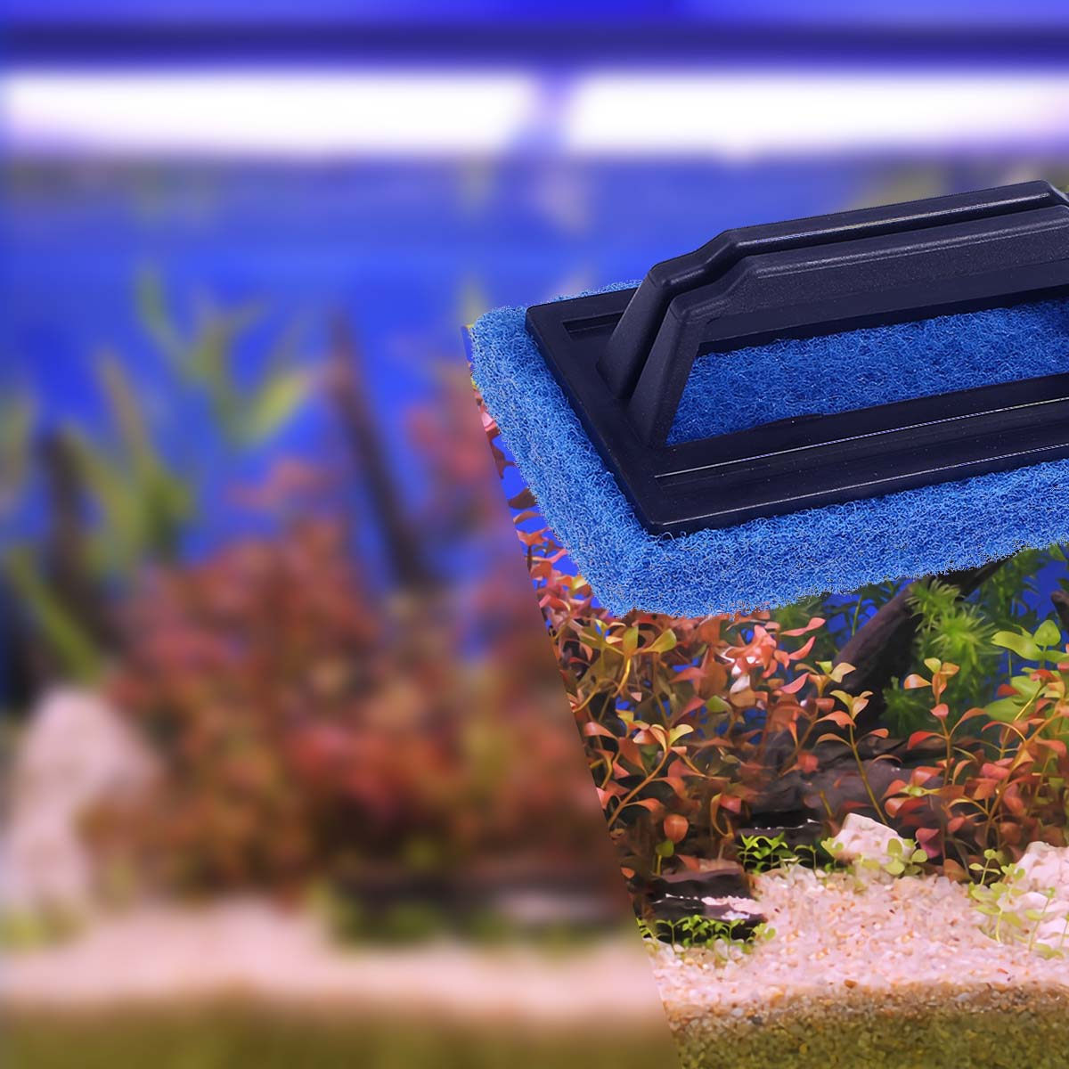 Single Face Handle Aquarium Br - Planted Aquarium Algae Remover 리뷰 및 가격