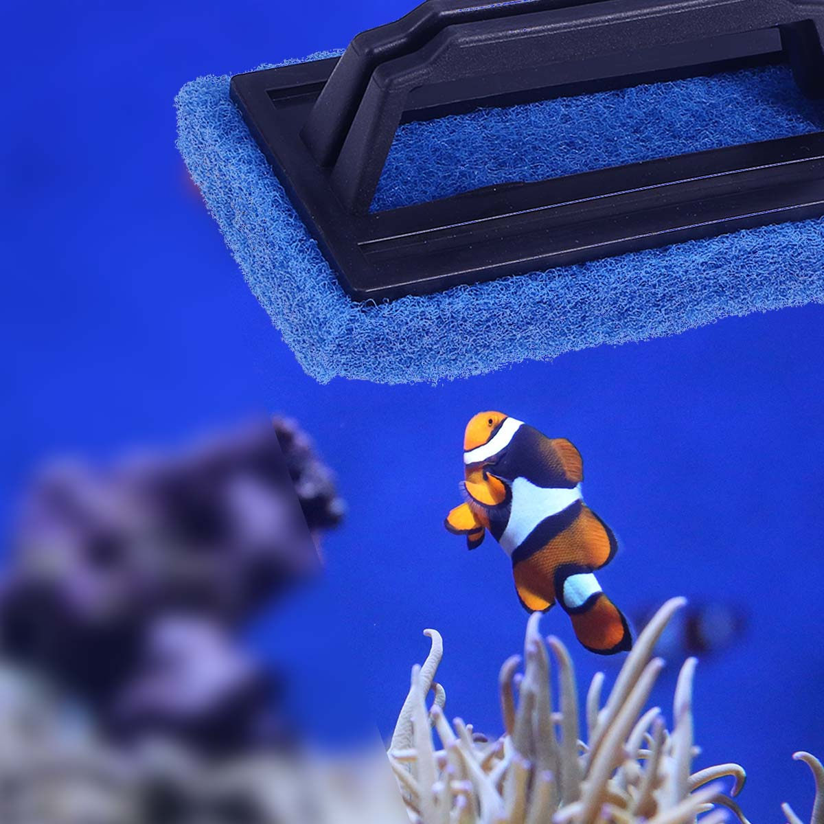 Single Face Handle Aquarium Br - Planted Aquarium Algae Remover 리뷰 및 가격