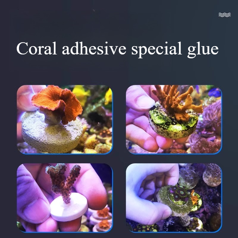 SPS LPS Coral Reef Frags Plug  - Aquarium Plant Glue Gel 리뷰 및 가격