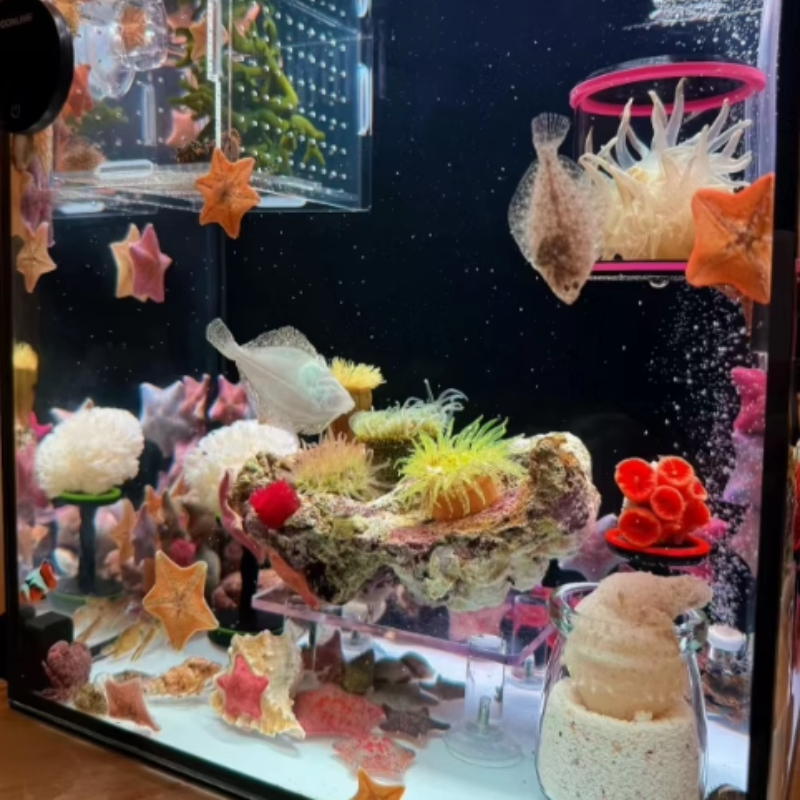 SPS LPS Coral Reef Frags Plug  - Aquarium Plant Glue Gel 리뷰 및 가격