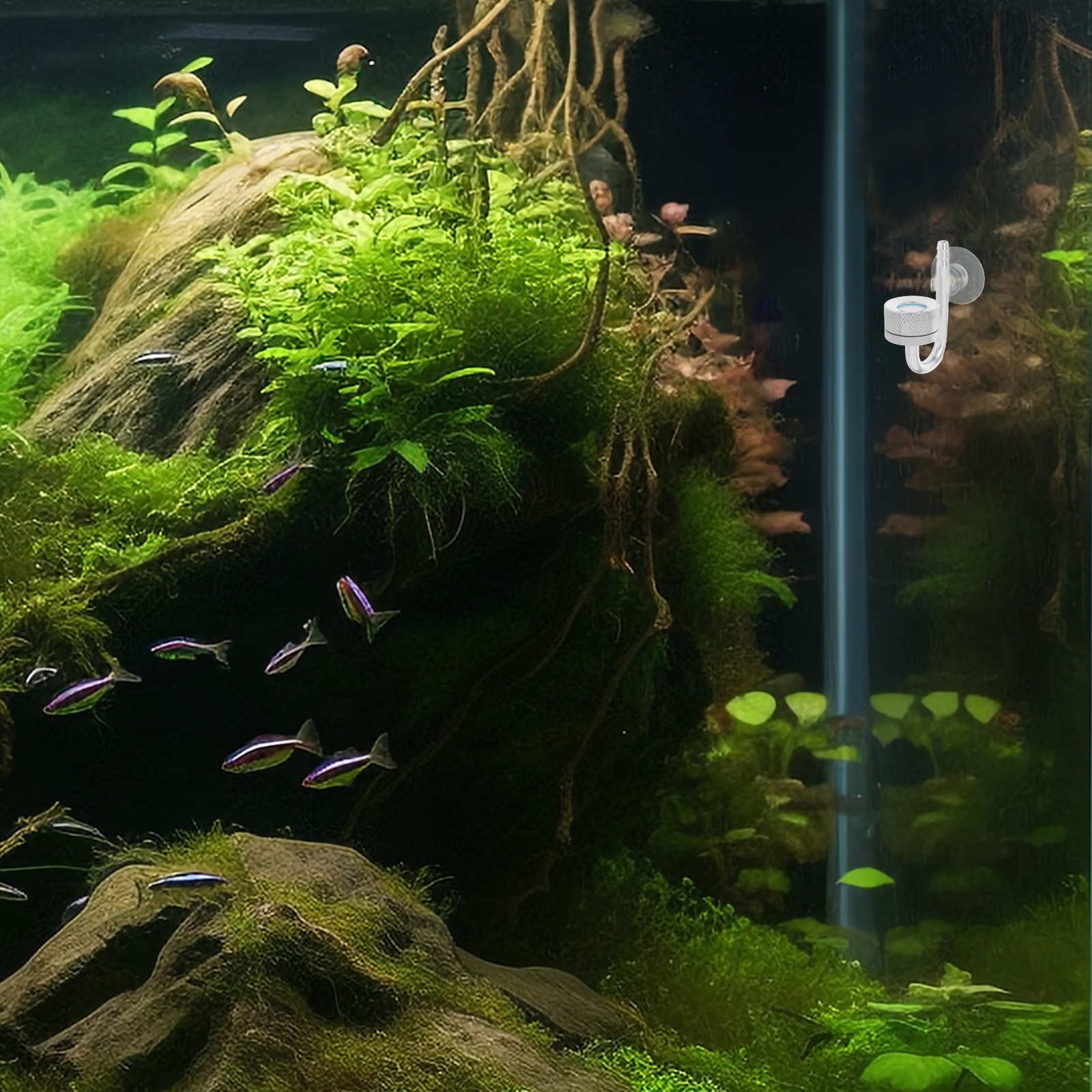 Aluminum Alloy Co2 Diffuser fo - Planted Aquarium Co2 System 리뷰 및 가격
