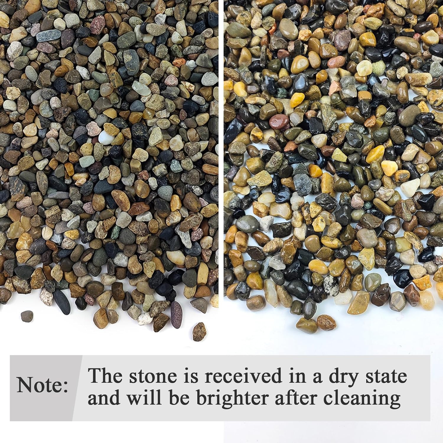 5 lbs Aquarium Gravel, Pea Gra - Aquarium Plant Gravel 리뷰 및 가격