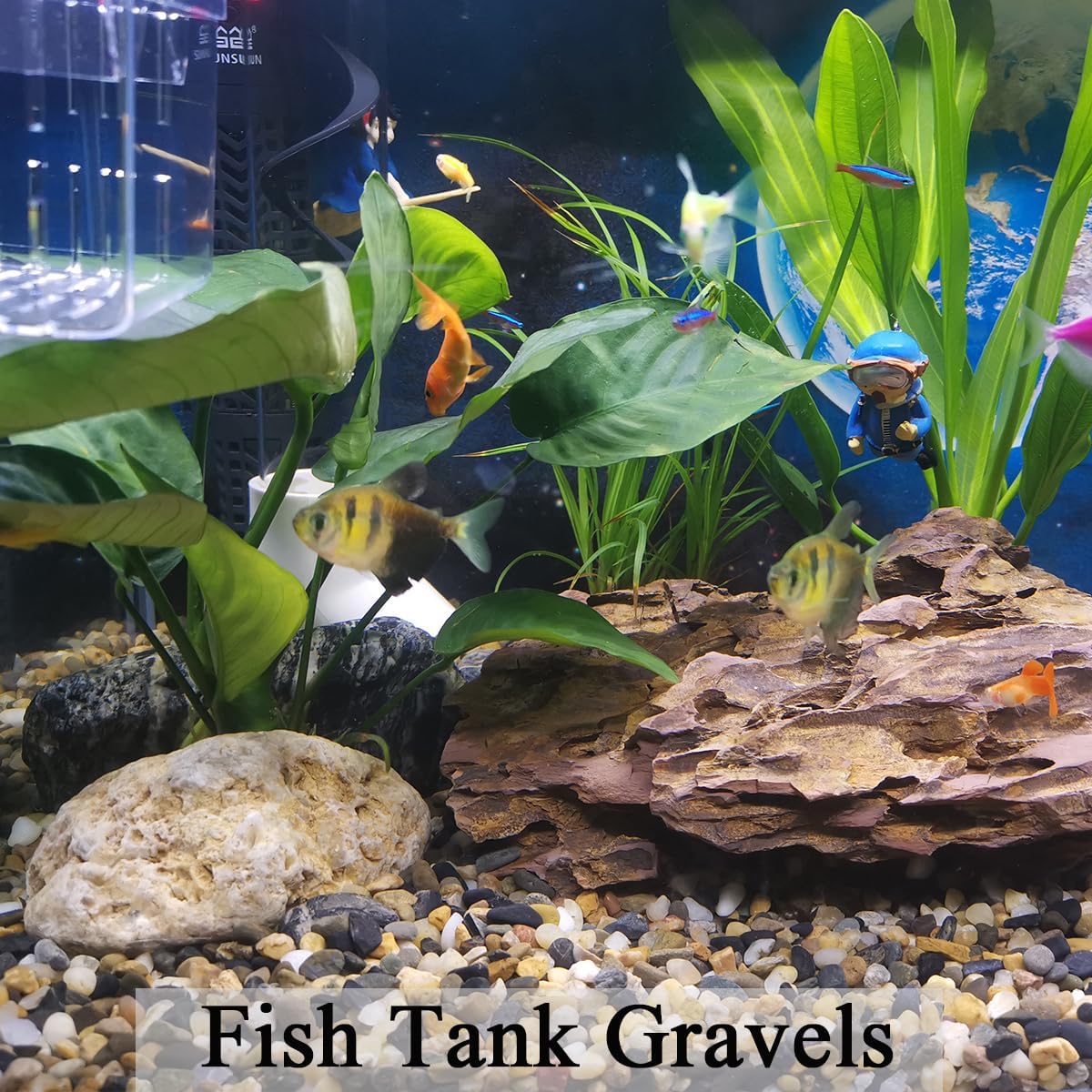 5 lbs Aquarium Gravel, Pea Gra - Aquarium Plant Gravel 리뷰 및 가격