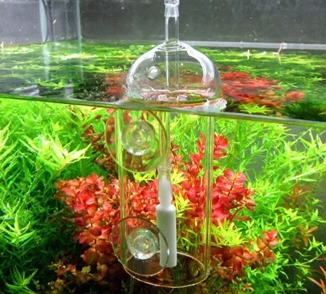 VIV Do Device Aquarium Cylinde - Planted Aquarium Supplies 리뷰 및 가격