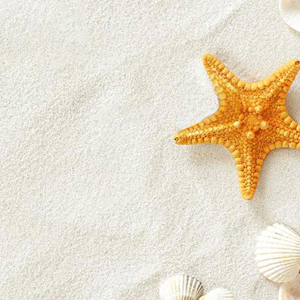 5Packs 80G White Beauty Sand f - Aquarium Sand White 리뷰 및 가격