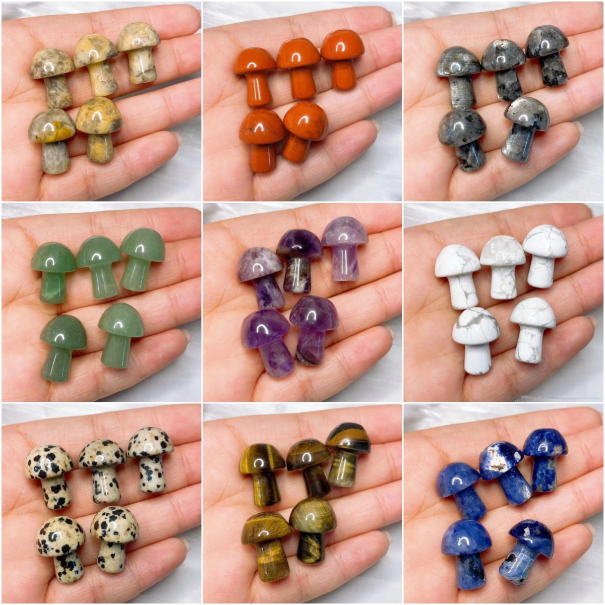Natural Crystal Mini Mushroom  - Planted Aquarium Supplies 리뷰 및 가격