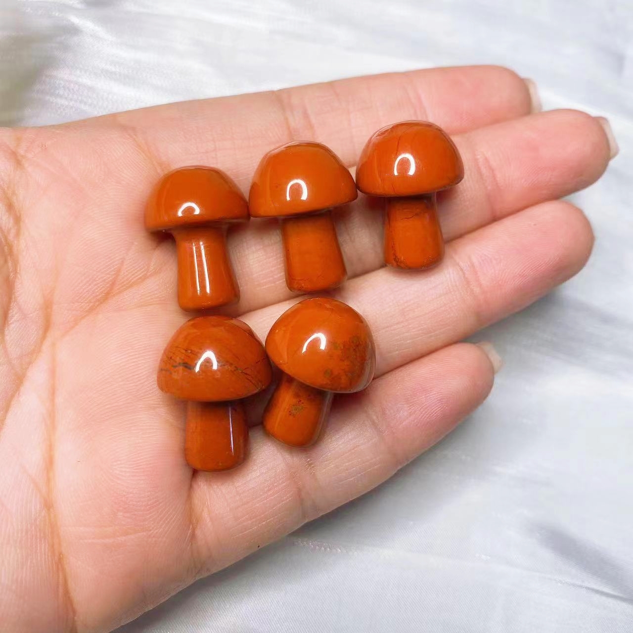 Natural Crystal Mini Mushroom  - Planted Aquarium Supplies 리뷰 및 가격