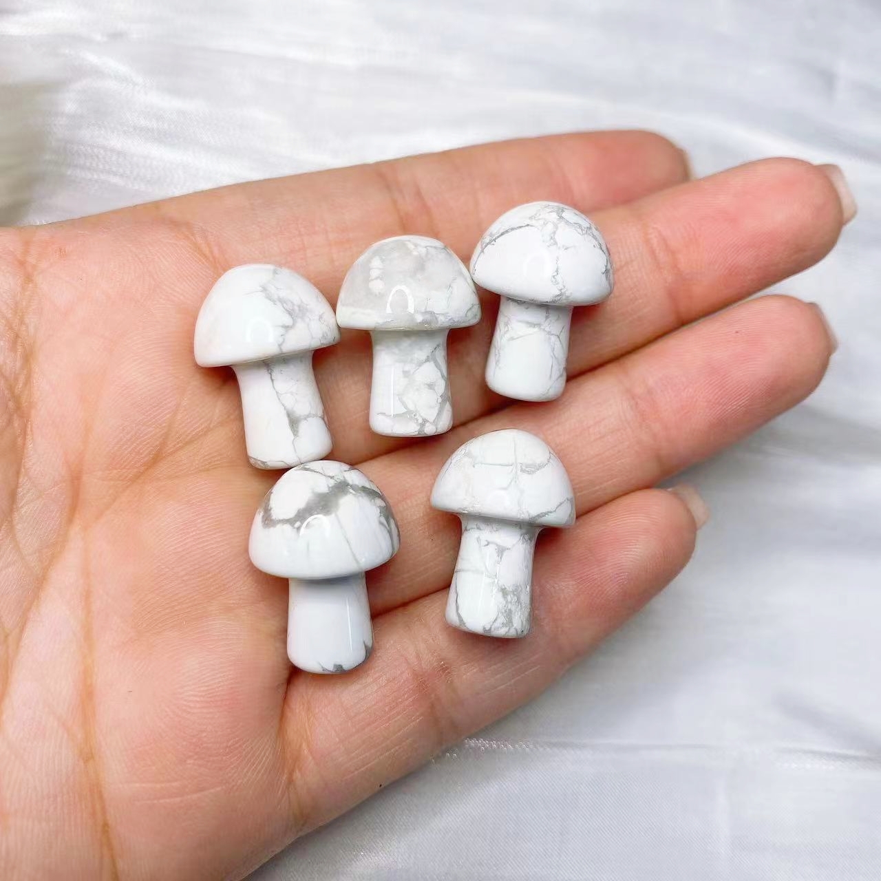 Natural Crystal Mini Mushroom  - Planted Aquarium Supplies 리뷰 및 가격