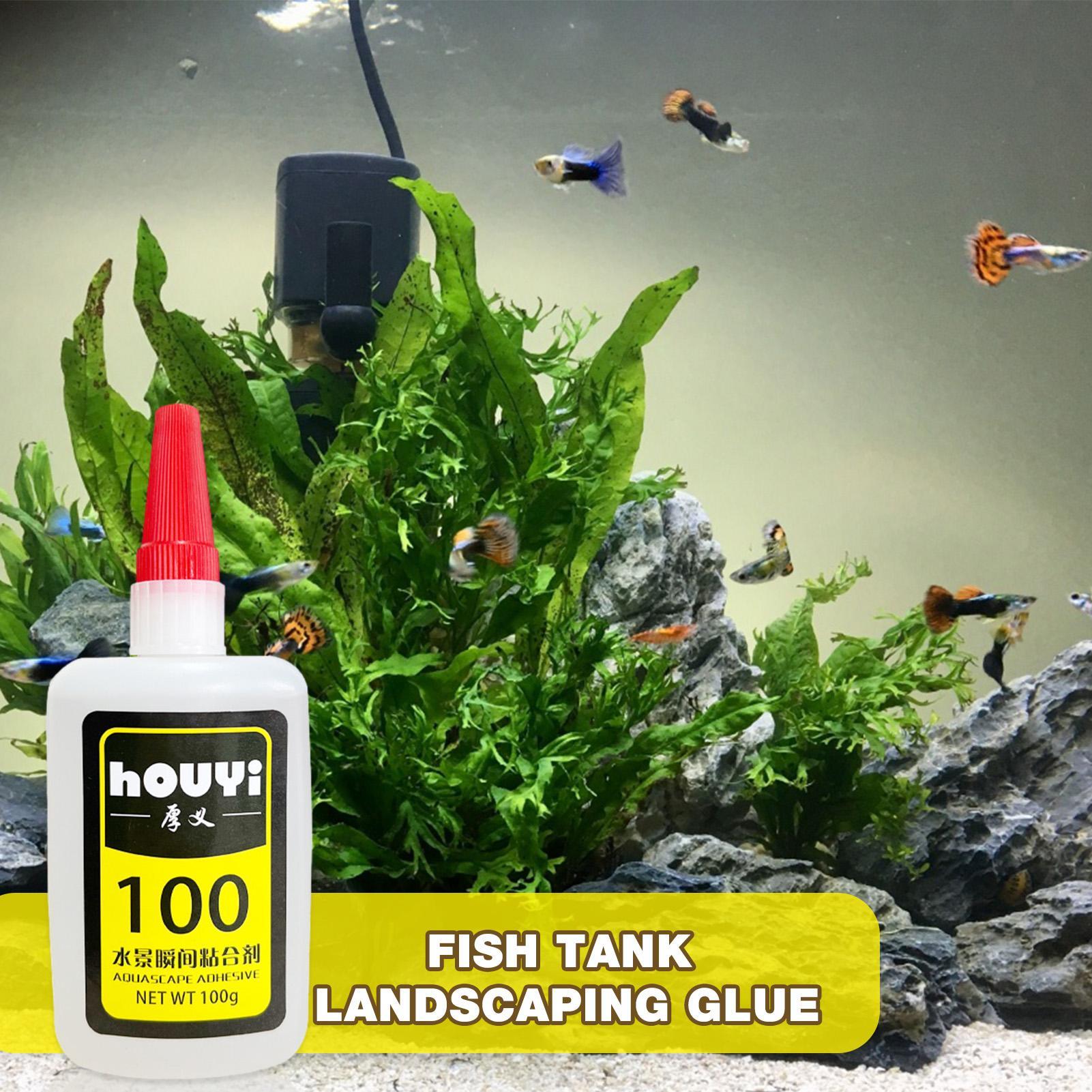 50/100g Clear Instant Glue Aqu - Planted Aquarium Supplies 리뷰 및 가격