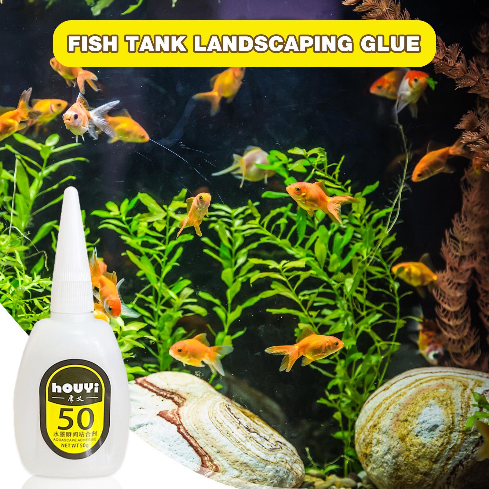 50/100g Clear Instant Glue Aqu - Planted Aquarium Supplies 리뷰 및 가격