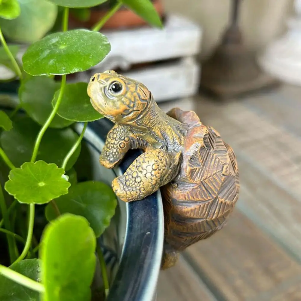 Fishing Turtle Hanging Turtle  - Aquarium Plant Display 리뷰 및 가격