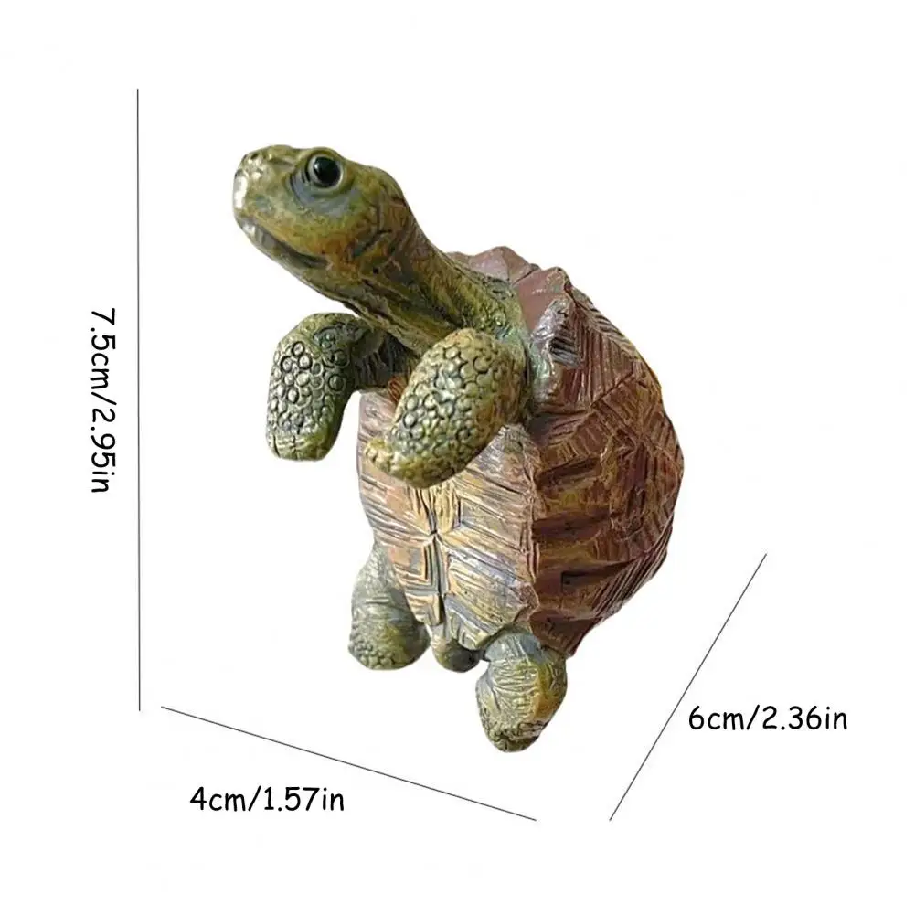 Fishing Turtle Hanging Turtle  - Aquarium Plant Display 리뷰 및 가격