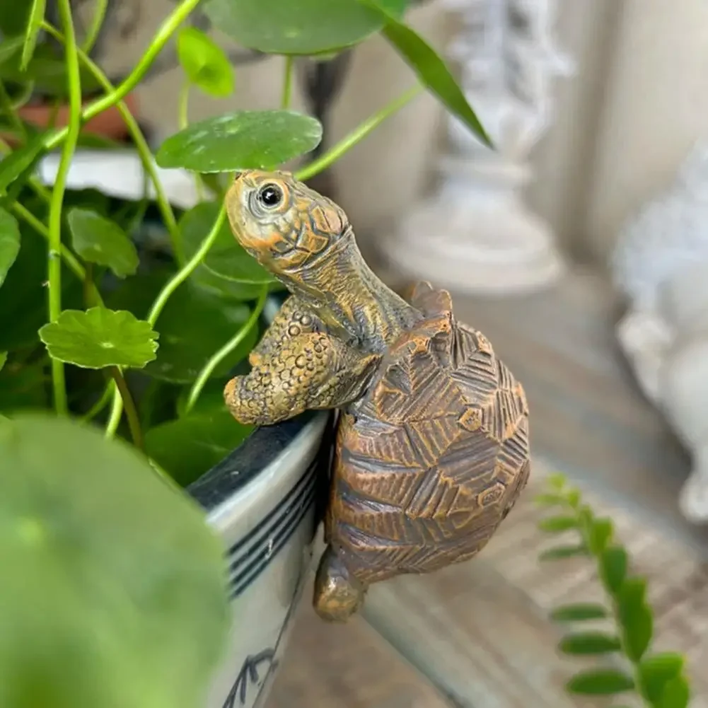 Fishing Turtle Hanging Turtle  - Aquarium Plant Display 리뷰 및 가격