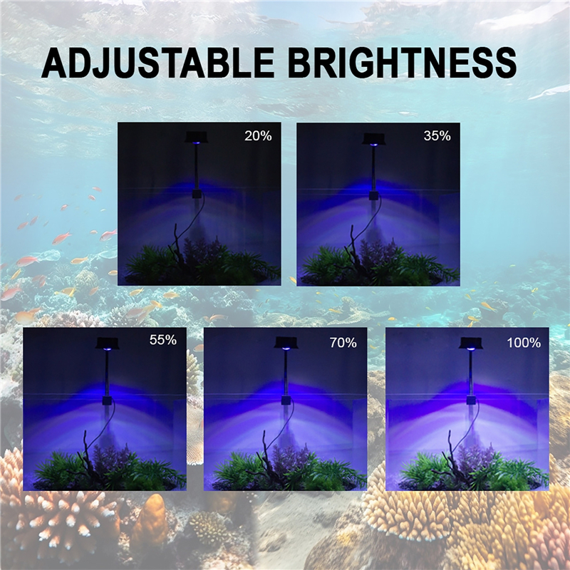 30W Aquarium Fish Tank Sea Wat - Aquarium Plant Display 리뷰 및 가격