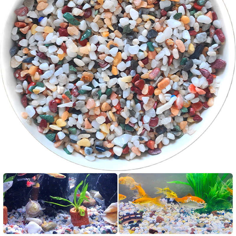 Natural Gravel Stone 200~1000g - Aquarium Plant Gravel 리뷰 및 가격