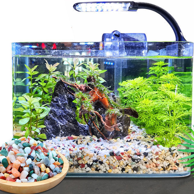 Natural Gravel Stone 200~1000g - Aquarium Plant Gravel 리뷰 및 가격