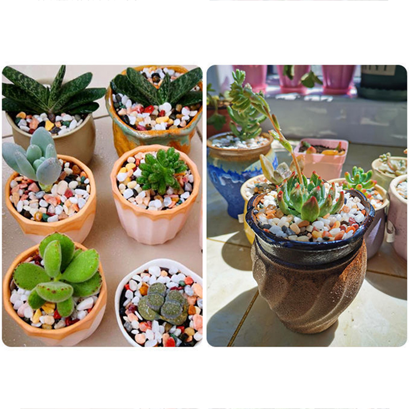 Natural Gravel Stone 200~1000g - Aquarium Plant Gravel 리뷰 및 가격