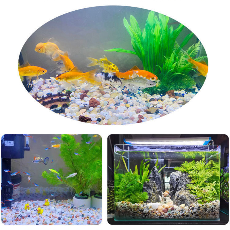 Natural Gravel Stone 200~1000g - Aquarium Plant Gravel 리뷰 및 가격