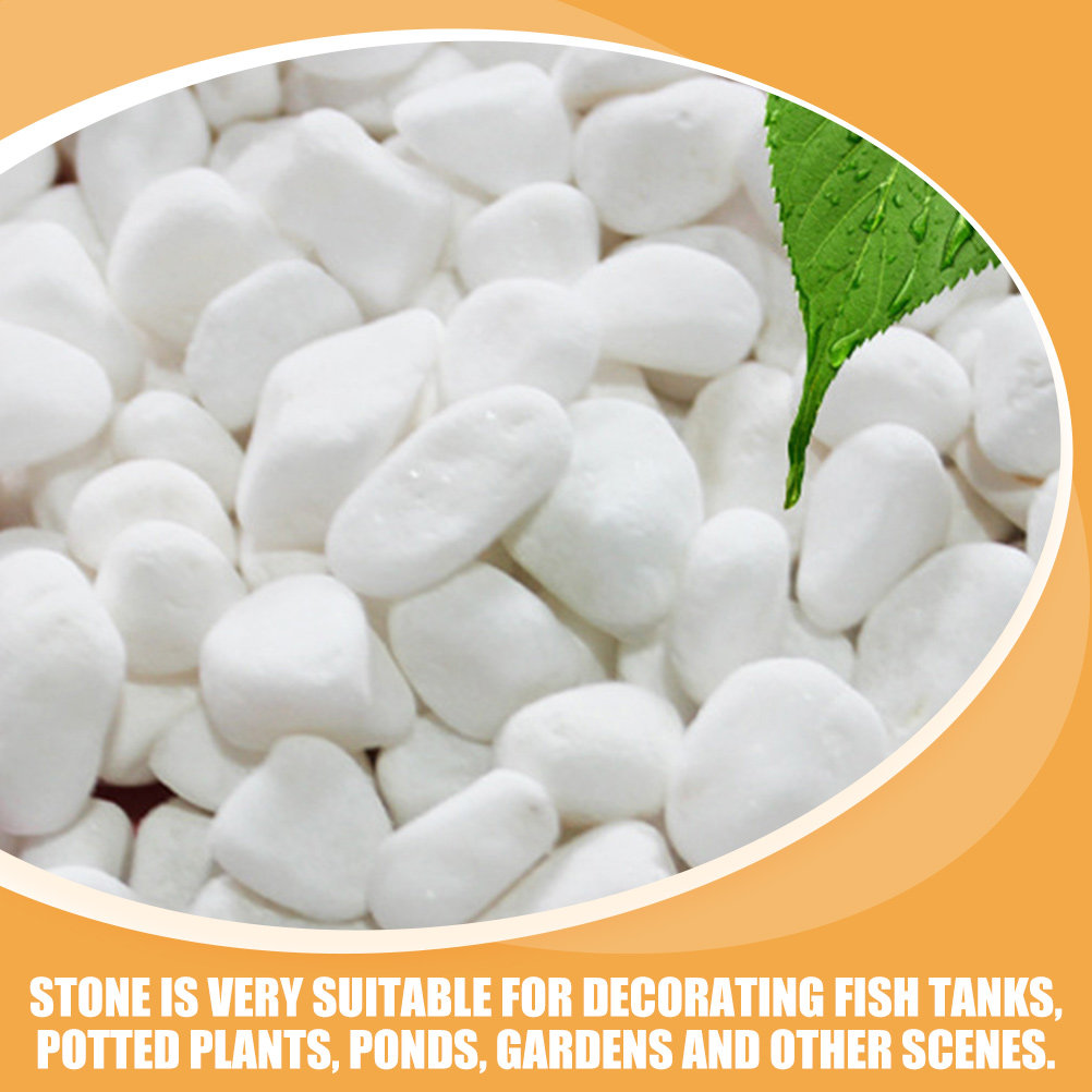 1Set White Decorative Stone El - Aquarium Sand White 리뷰 및 가격