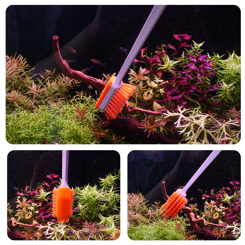 QANVEE Aquarium MK3 Fish Tank  - Planted Aquarium Algae Remover 리뷰 및 가격