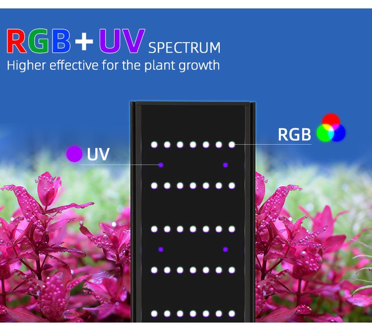 WEEK AQUA L Series APP Control - Aquarium Plant Display 리뷰 및 가격