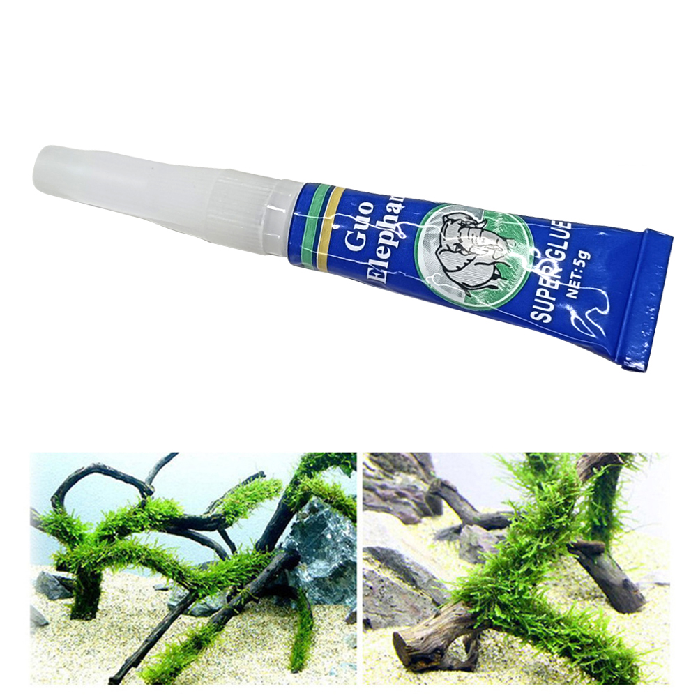 Fish Tank Landscaping Moss Glu - Aquarium Plant Glue Gel 리뷰 및 가격