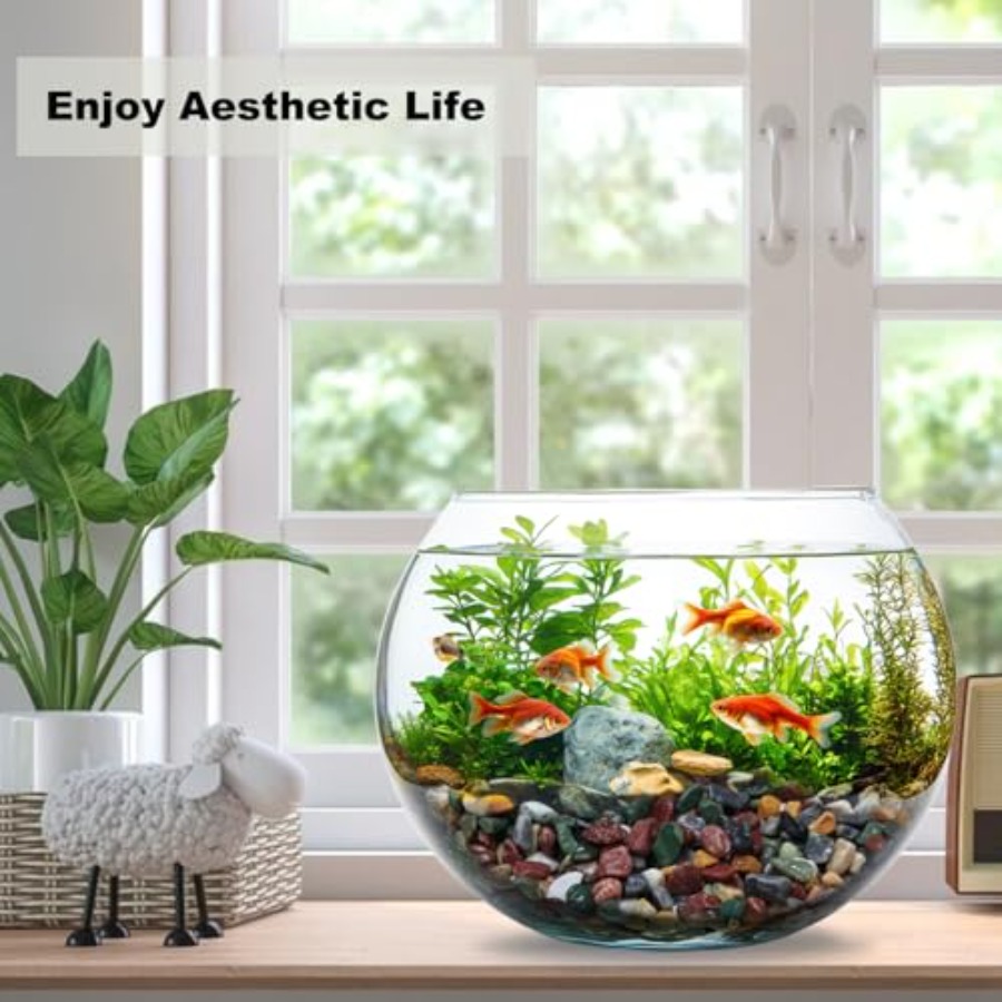 45LB Succulents Rocks for Plan - Aquarium Plant Gravel 리뷰 및 가격