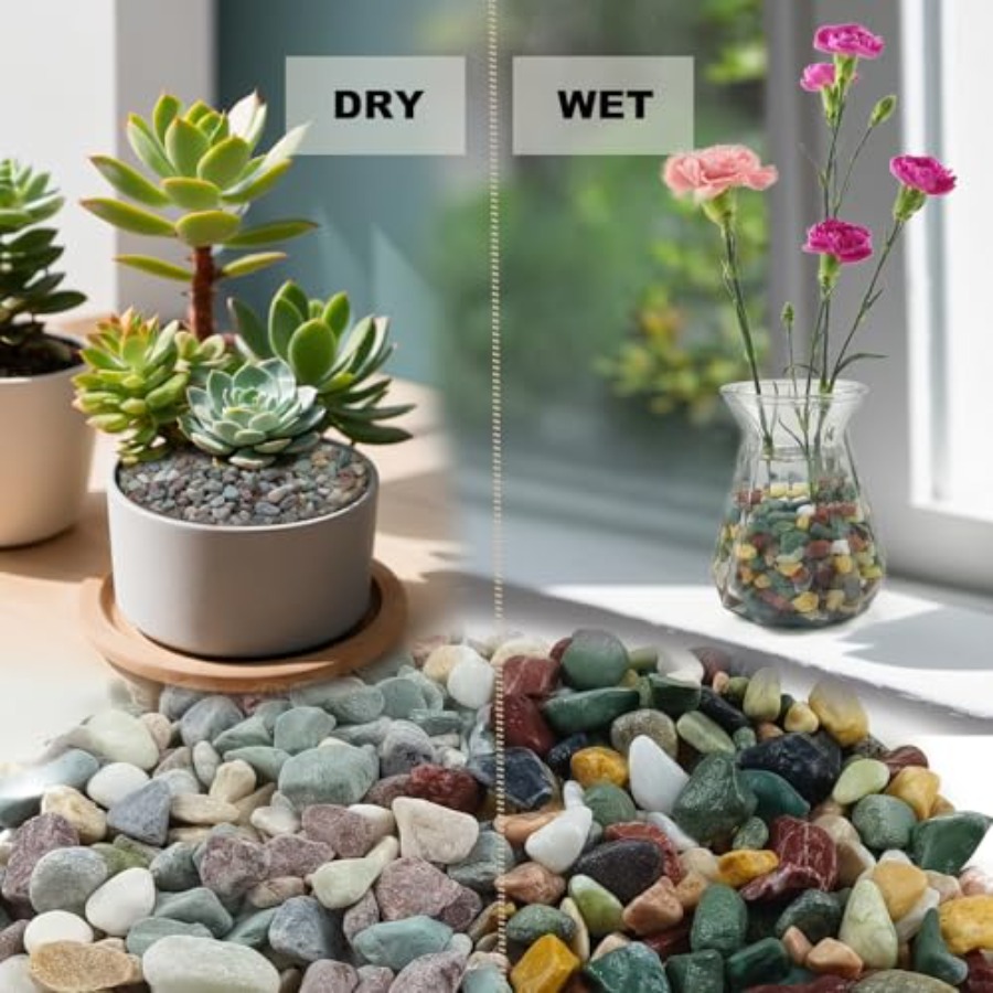 45LB Succulents Rocks for Plan - Aquarium Plant Gravel 리뷰 및 가격
