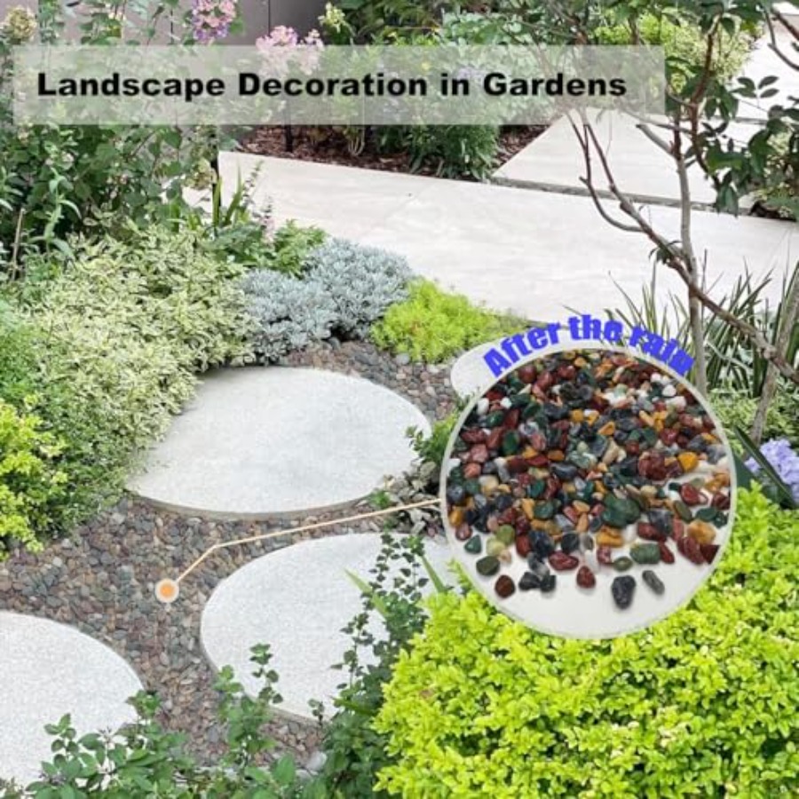 45LB Succulents Rocks for Plan - Aquarium Plant Gravel 리뷰 및 가격