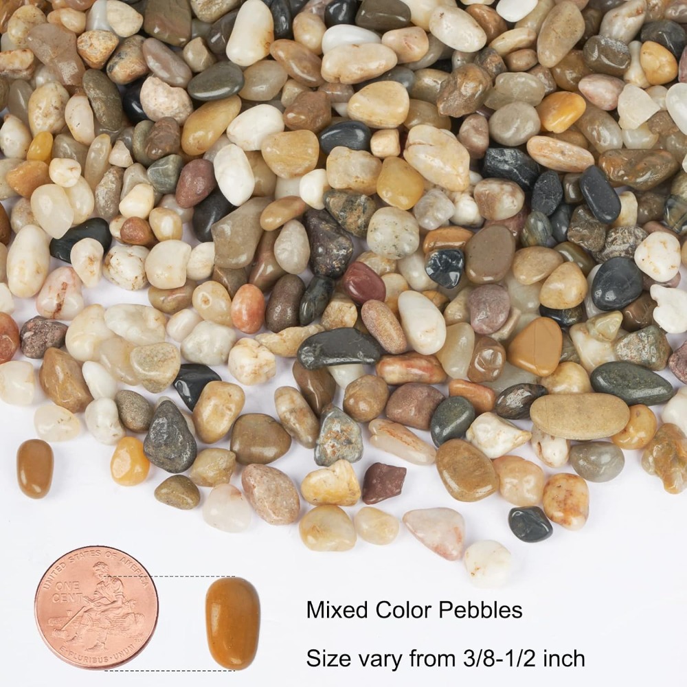 5 lb Decorative Pebbles for Pl - Aquarium Plant Gravel 리뷰 및 가격