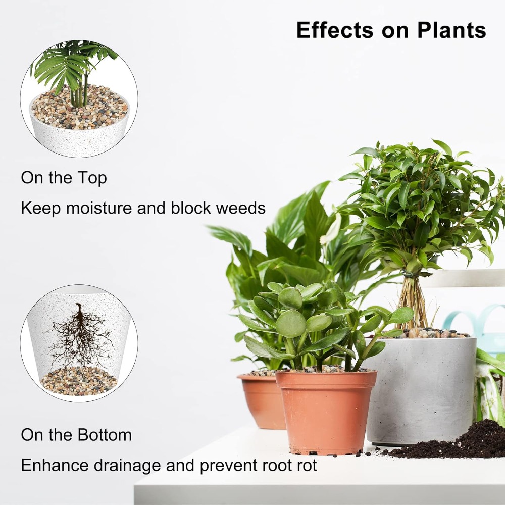 5 lb Decorative Pebbles for Pl - Aquarium Plant Gravel 리뷰 및 가격