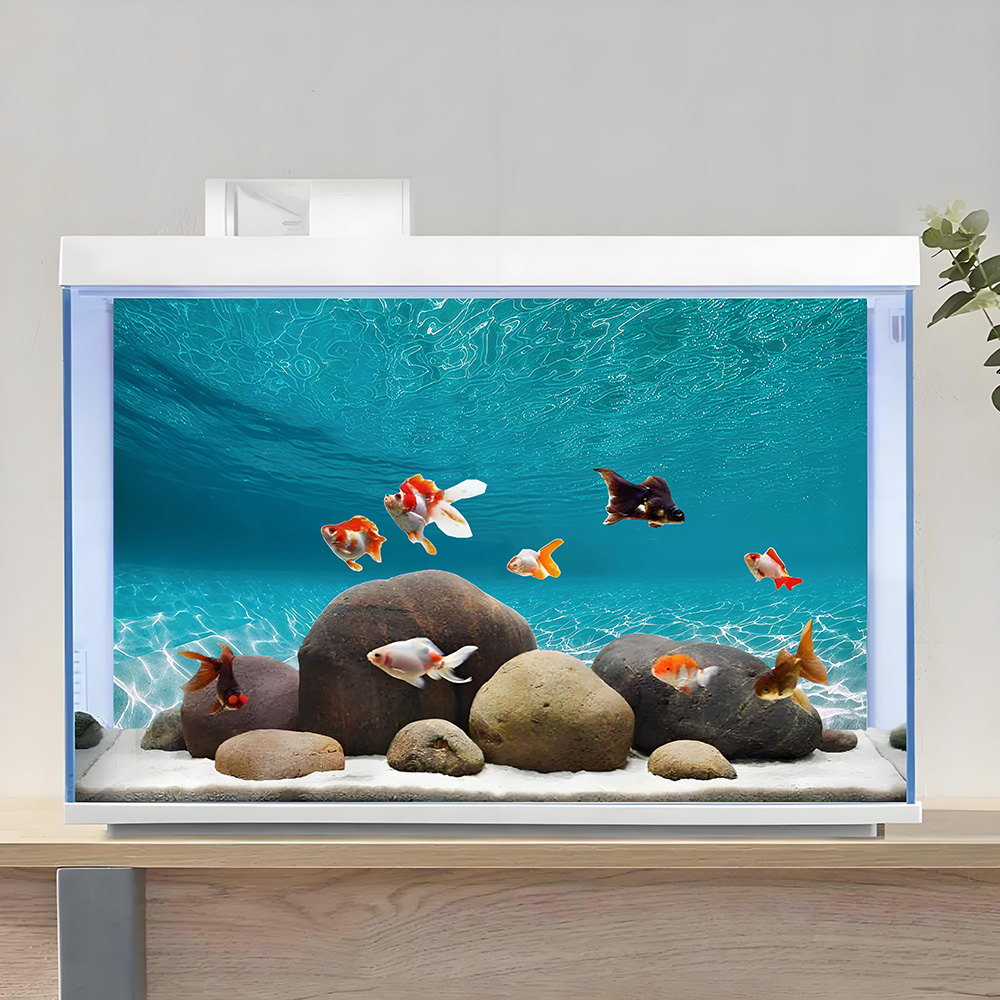 Sunshine white sand，Fish tank  - Aquarium Sand White 리뷰 및 가격