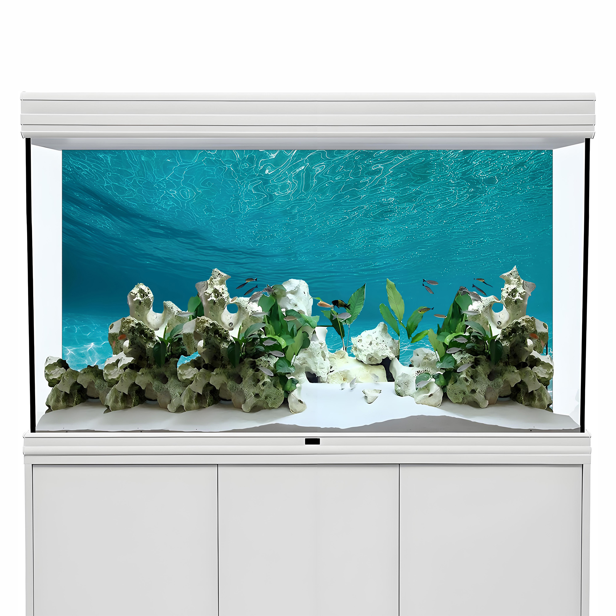Sunshine white sand，Fish tank  - Aquarium Sand White 리뷰 및 가격