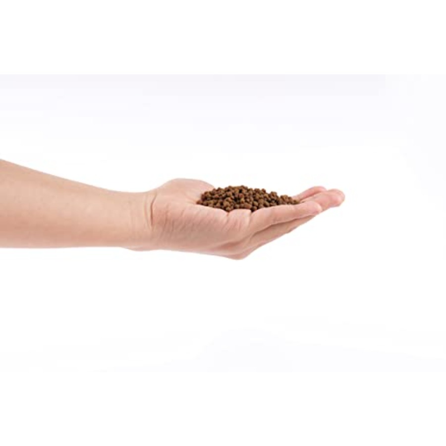 Aqua Soil Substrate 5L 10lbs f - Aquarium Plant Gravel 리뷰 및 가격