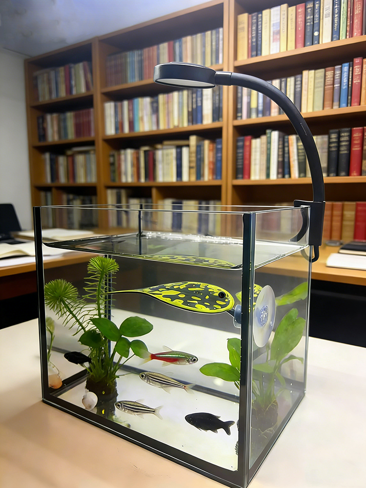 USB LED Fish Tank Clip Lamp Hi - Aquarium Plant Display 리뷰 및 가격