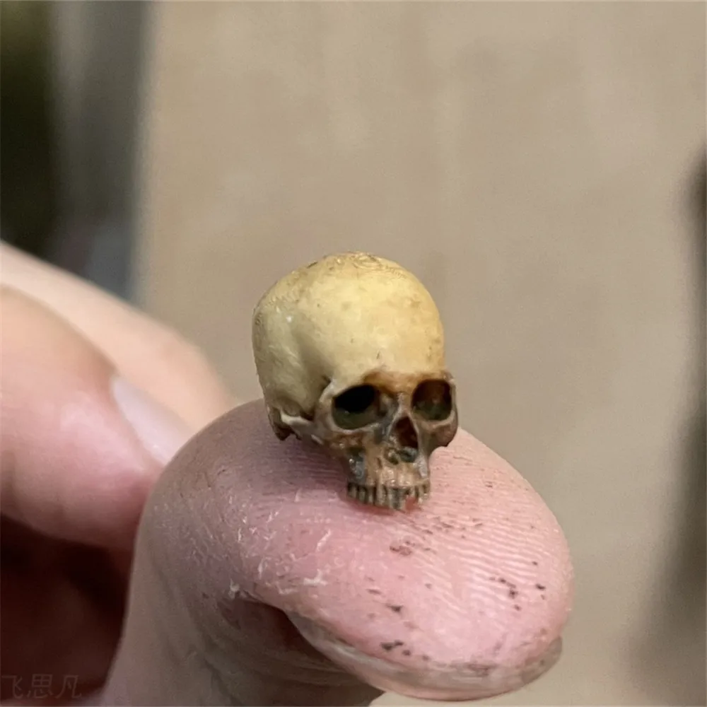 Mini Skull High Quality Miniat - Aquarium Plant Display 리뷰 및 가격