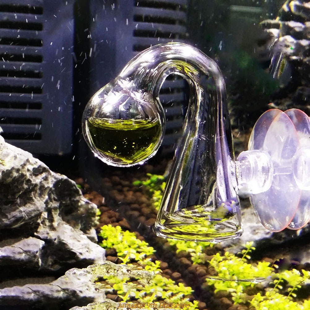 Fish Tank CO2 Diffuse Glass Dr - Planted Aquarium Supplies 리뷰 및 가격