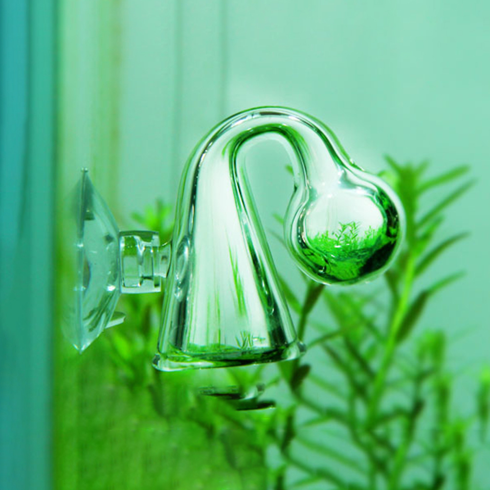 Fish Tank CO2 Diffuse Glass Dr - Planted Aquarium Supplies 리뷰 및 가격