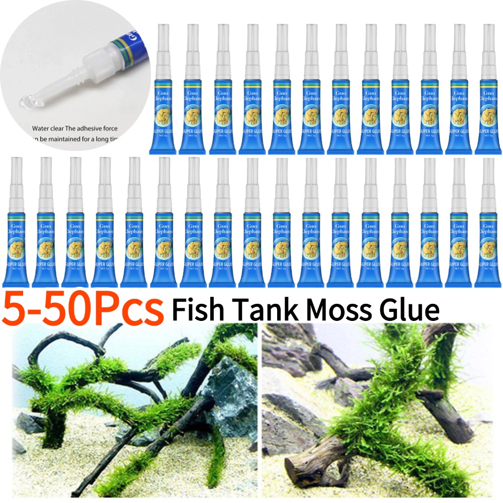 50-5Pcs Fish Tank Landscaping  - Aquarium Plant Glue Gel 리뷰 및 가격